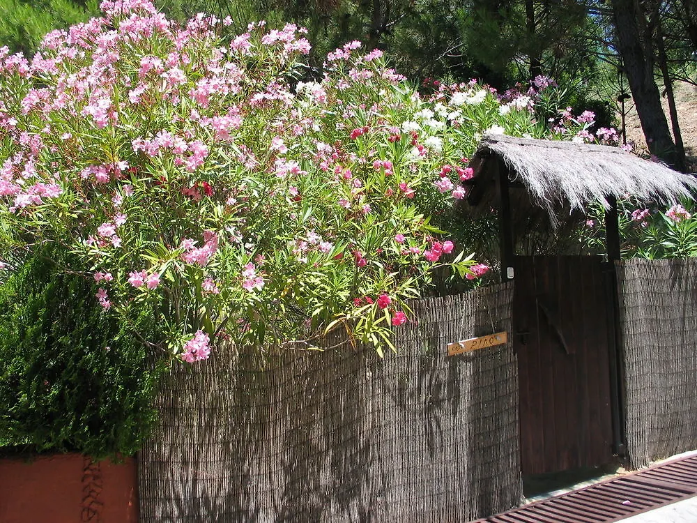 Hotel Ddg Retreat Casares Resort
