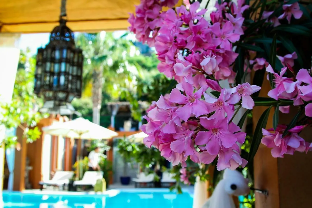 Hotel Ddg Retreat Casares